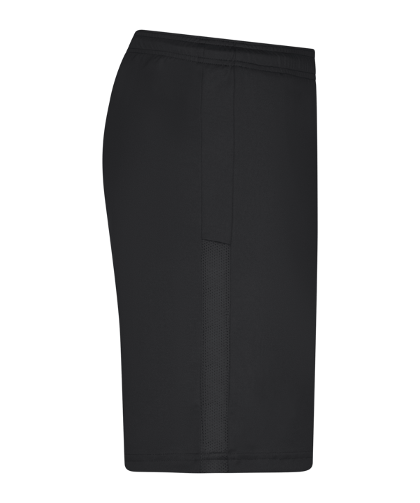 PUMA teamGOAL 23 Knit Short Schwarz F03 - schwarz