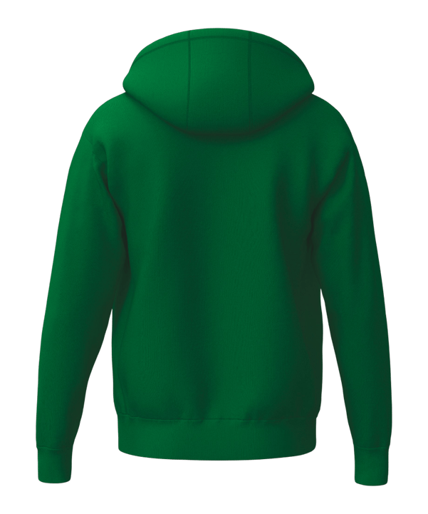 Erima TS Kapuzenjacke Grün - gruen