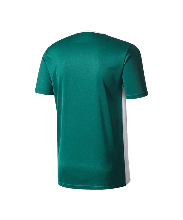 adidas Entrada Trikot 18 Kids Grün Weiss - gruen
