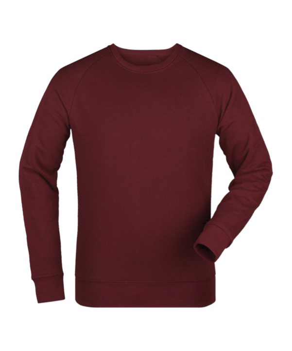 Merch Roller Sweatshirt Burgundy FC244 - rot