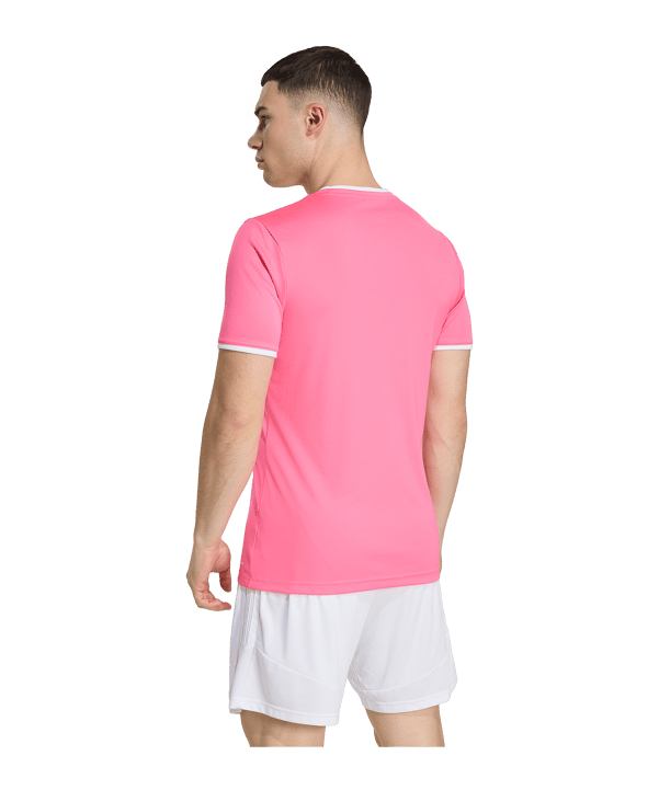 adidas Entrada 26 Trikot Rosa - rosa