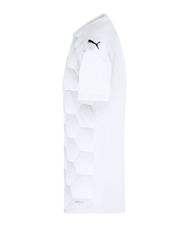 PUMA teamFINAL 21 Graphic Trikot kurzarm Weiss F04 - weiss