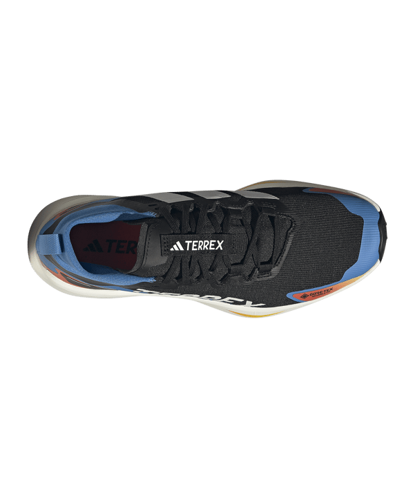 adidas TERREX Agravic GTX Laufschuh Schwarz - schwarz