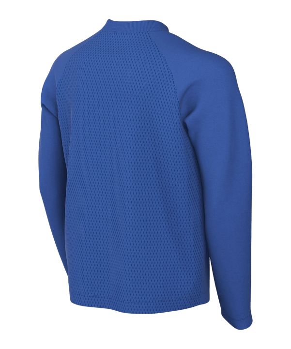 Nike Park VIII Trikot langarm Kids Blau F463 - blau