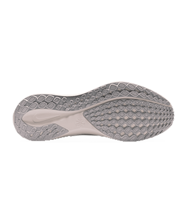 Nike Pegasus 41 Road Laufschuh Grau F011 - grau