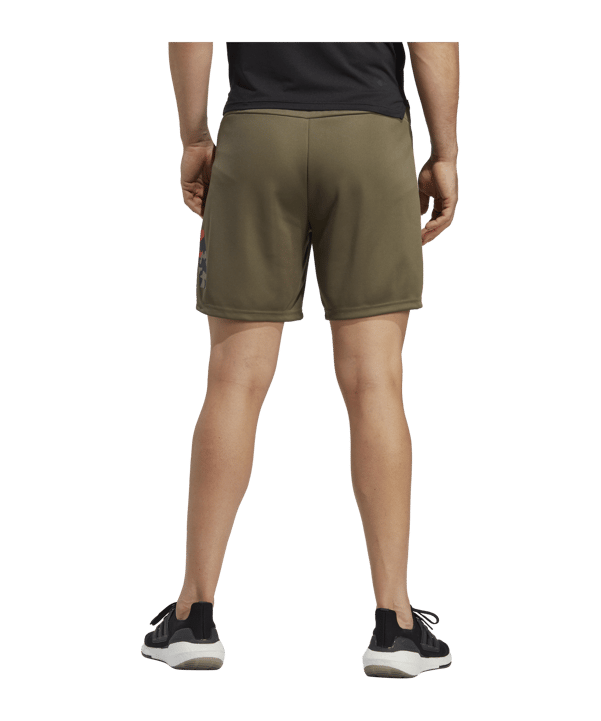 adidas Seasonal Trainingsshort Grün Schwarz - gruen