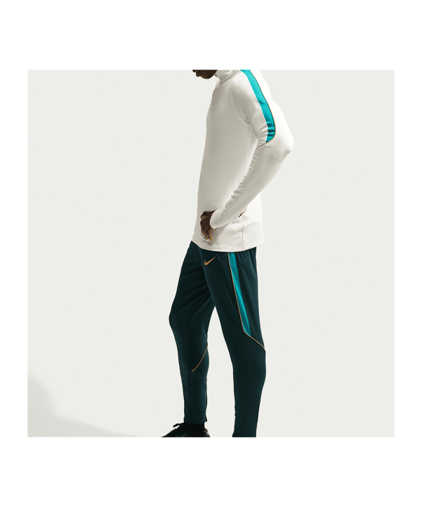 Nike Strike Trainingshose Grün F378 - gruen