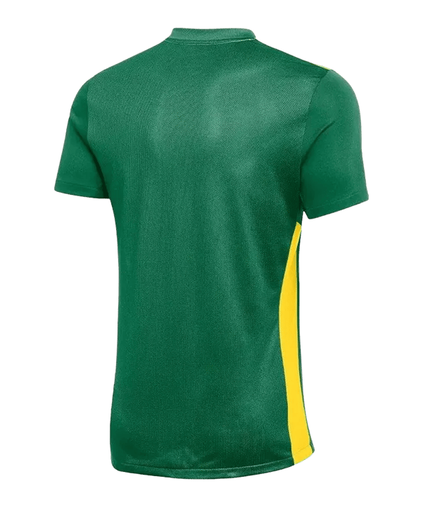 Nike Park Derby IV Trikot Kids Grün Gelb F303 - gruen