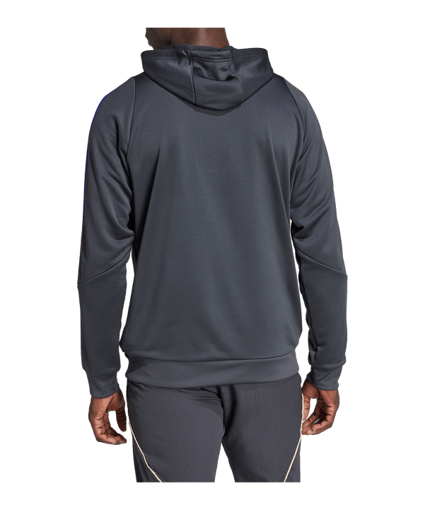 adidas Olympique Lyon Training Hoody Grau - grau