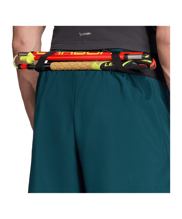 adidas Terrex Xperior Short Grün - gruen