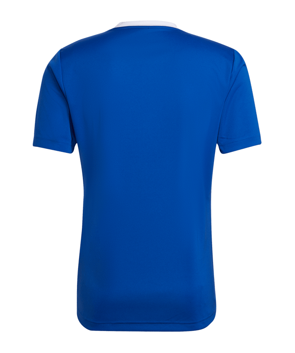 adidas Entrada 22 Trikot Blau Weiss - blau
