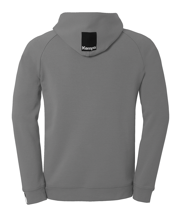 Kempa STMNT Hoody Grau F37 - grau