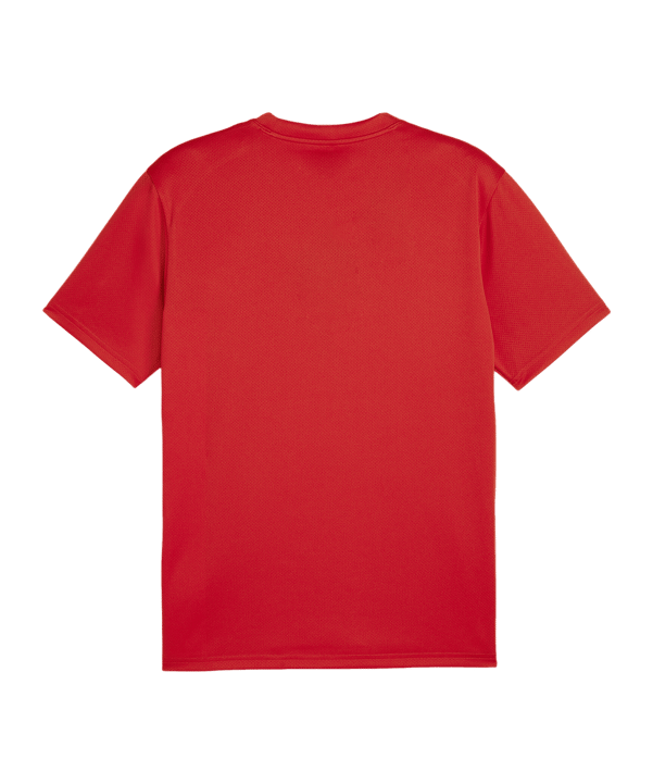 PUMA teamGOAL Trikot Rot F01 - rot