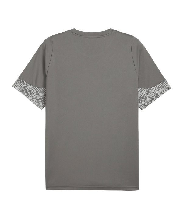 PUMA Trikot Grau F13 - grau