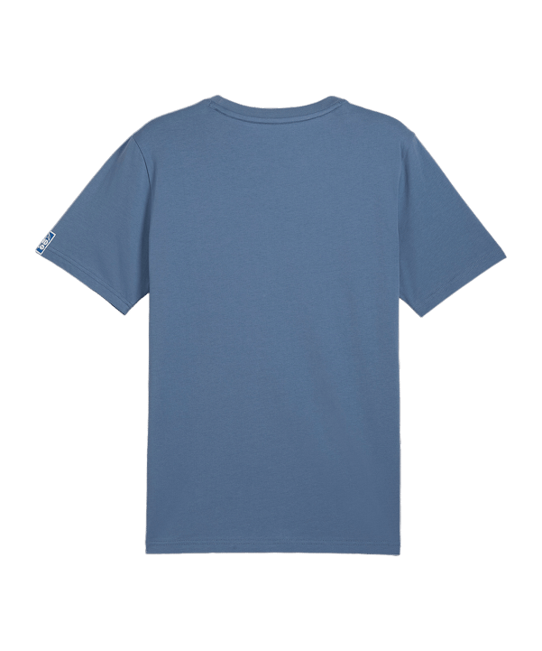PUMA Handball T-Shirt Blau F10 - blau