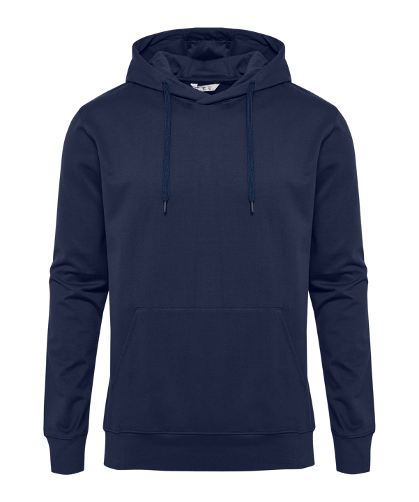 Hummel GO 2.0 Hoody Blau F7026 - blau