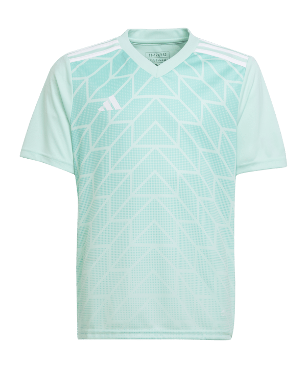 adidas Team Icon 23 Trikot Kids Türkis - tuerkis