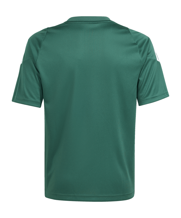 adidas Tiro 24 Trikot Dunkelgrün Weiss - gruen
