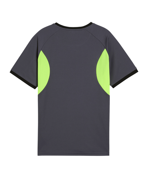 PUMA Trikot Kids Grau F08 - grau