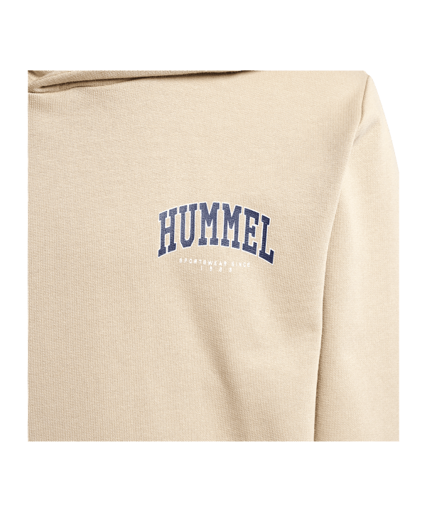 Hummel Hoody Kids Braun F2189 - braun