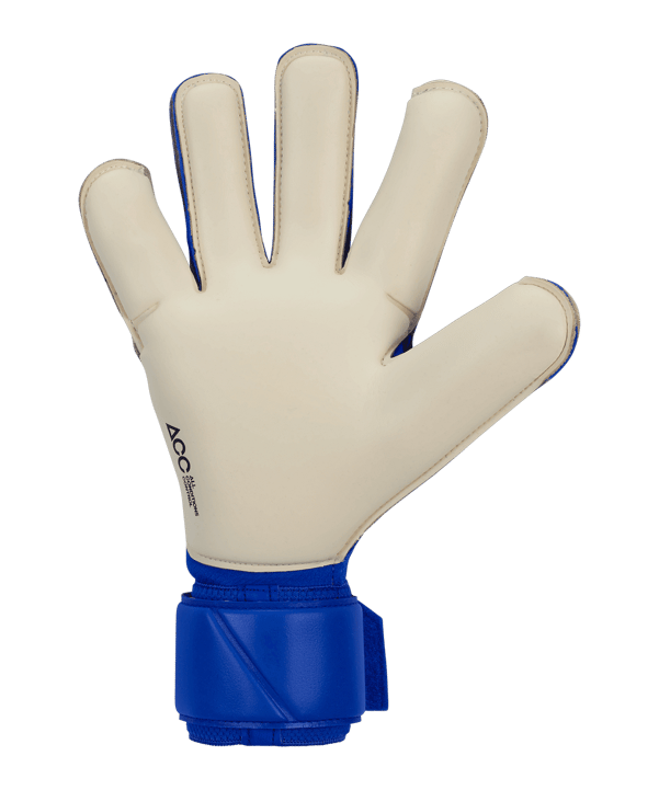 Nike Vapor Grip3 Guanti da portiere Blu C458 - blu