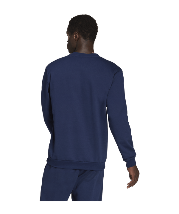 adidas Entrada 22 Sweatshirt Blau - blau