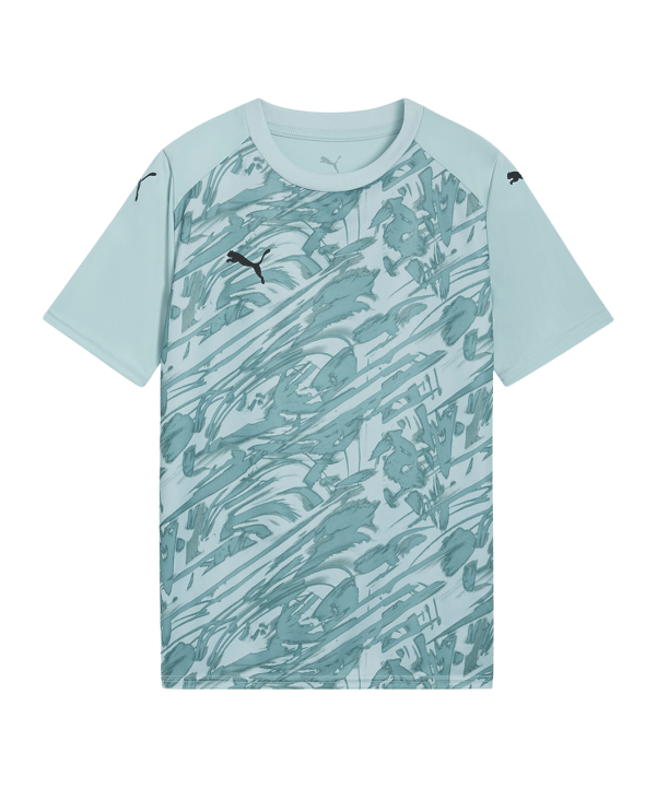 PUMA teamFINAL Graphic Trikot Kids Grün F41 - gruen