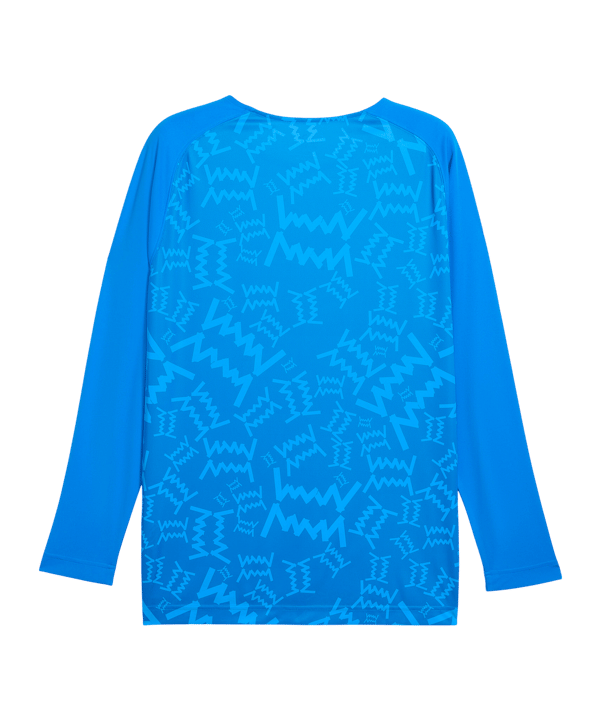 PUMA Teamjaws Graphic Ls Shooting Hemd Blau F07 - blau