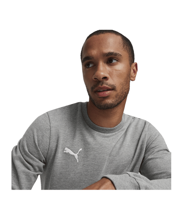 PUMA teamGOAL Casuals Sweatshirt Grau F33 - grau