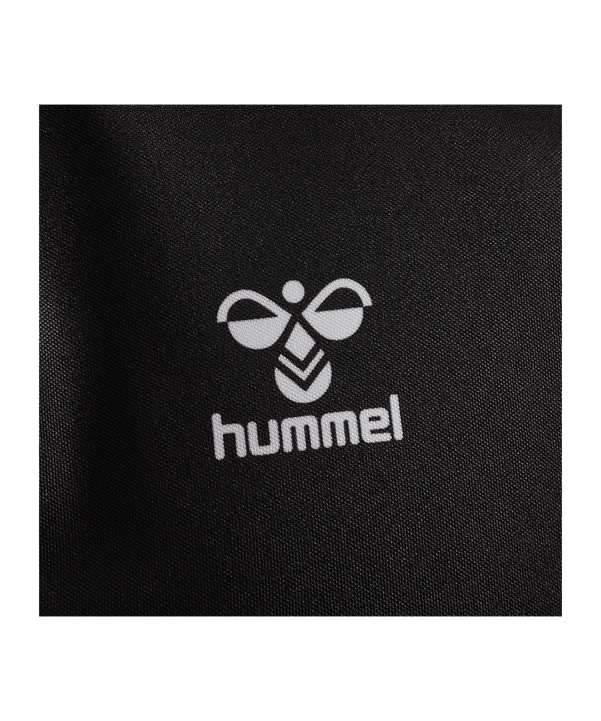 Hummel Torwarttrikot Schwarz F2001 - schwarz