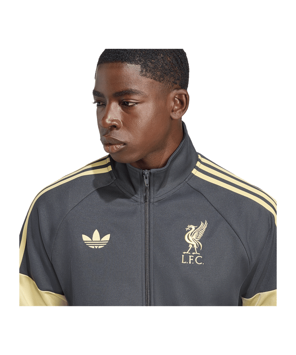adidas FC Liverpool Lfstlr Track Sweatshirt Grau - grau