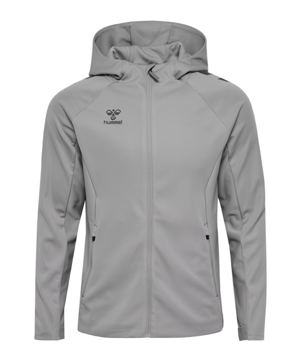 Hummel Veste à capuche Gris C1100 - gris