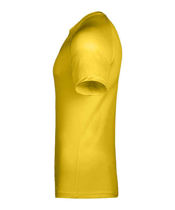 Nike Park VIII Trikot Gelb F719 - gelb
