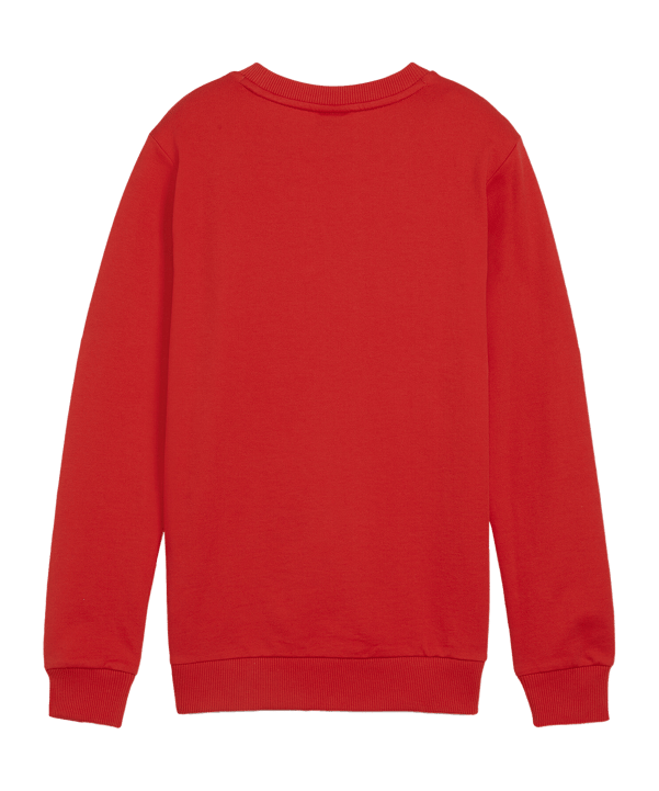 PUMA teamGOAL Casuals Sweatshirt Kids Rpt F01 - rot