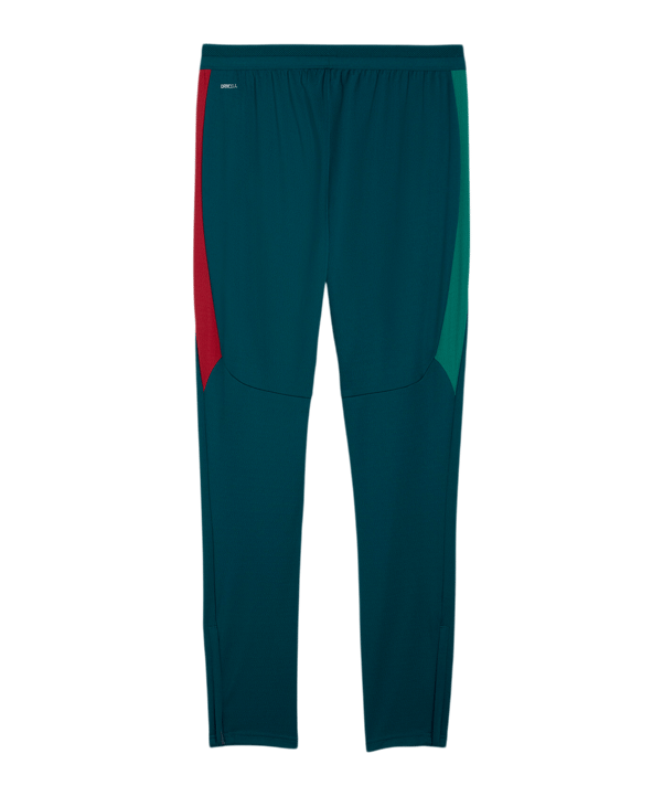 PUMA FPF Portugal Trainingshose Blau F15 - blau