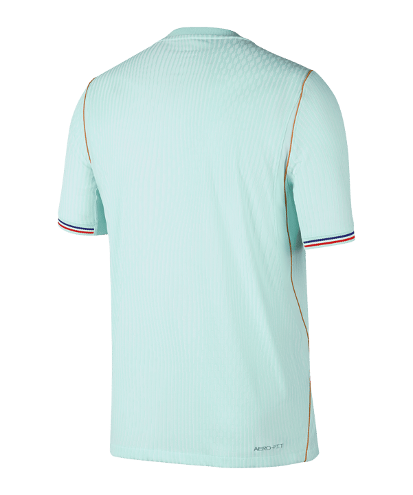 Nike FFF Frankreich Trikot Away WM 2026 Grün F394 - gruen