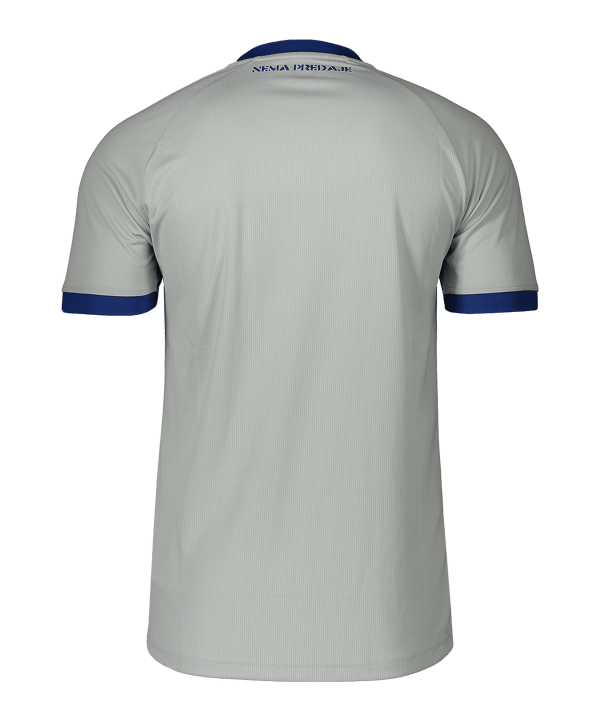 Castore Dinamo Zagreb Trikot Auswärts 2025/2026 Grau F123 - grau
