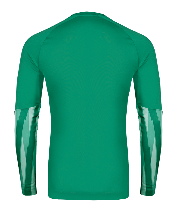 Nike Park V Trikot langarm Grün F324 - gruen