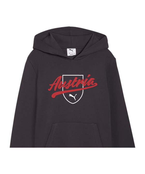 PUMA ÖFB Österreich FtblCulture Hoody Kids Grau F25 - grau