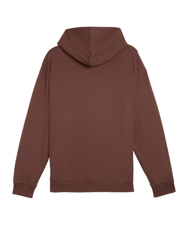 PUMA FC St. Pauli ftblCulture+ Hoody Braun F09 - braun