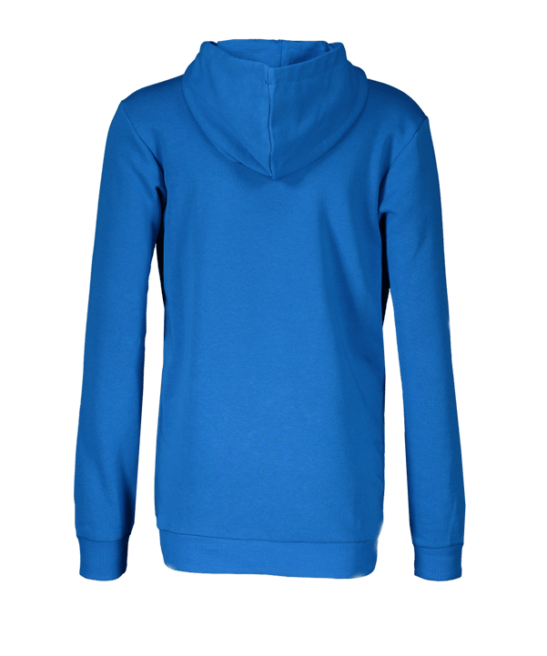 PUMA teamGOAL 23 Casuals Hoody Kids Blau F02 - blau