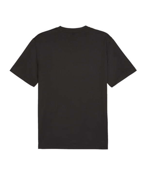 PUMA teamGOAL Trikot Schwarz F03 - schwarz