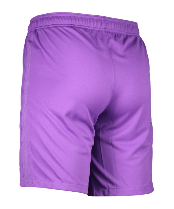 Nike Park Torwart Short Lila F528 - lila