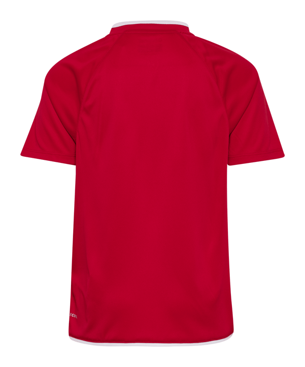 hummel Core 2.0 Trikot Kids Rot F3946 - rot