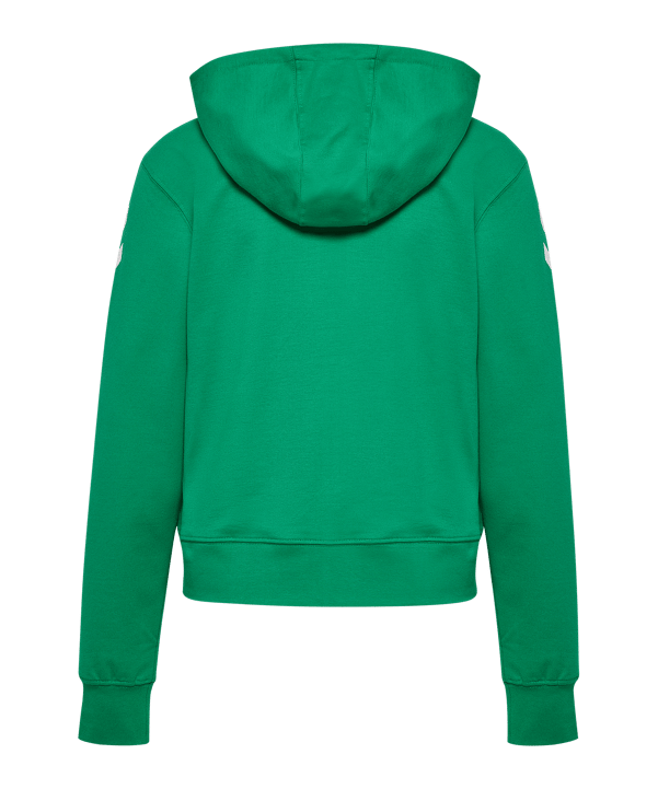Hummel Go 2.0 Chevron Kapuzenjacke Damen Grün F6235 - gruen