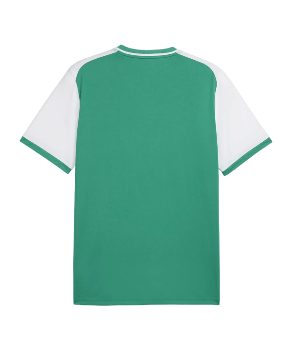 PUMA teamLIGA26 Matchday Trikot Grün F05 - gruen