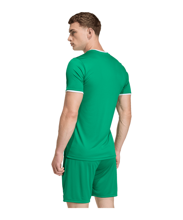 adidas Entrada 26 Trikot Grün - gruen