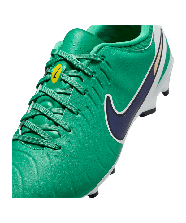 Nike Legend 10 Academy LV8 FG Fear Nothing Grün F300 - gruen