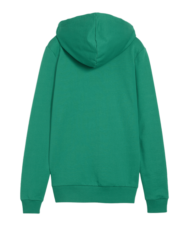 PUMA teamGOAL Casuals Hoody Damen Grün F05 - gruen