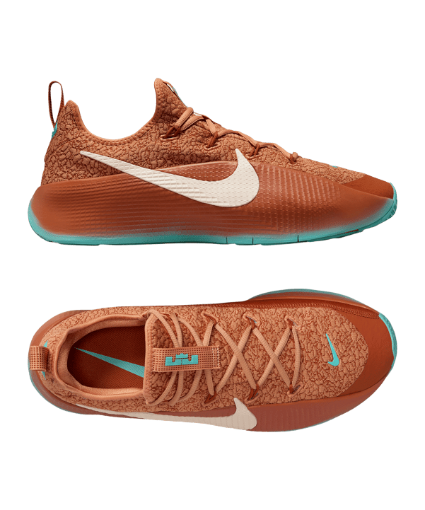Nike Lebron TR 1 Schuh Braun F200 - braun